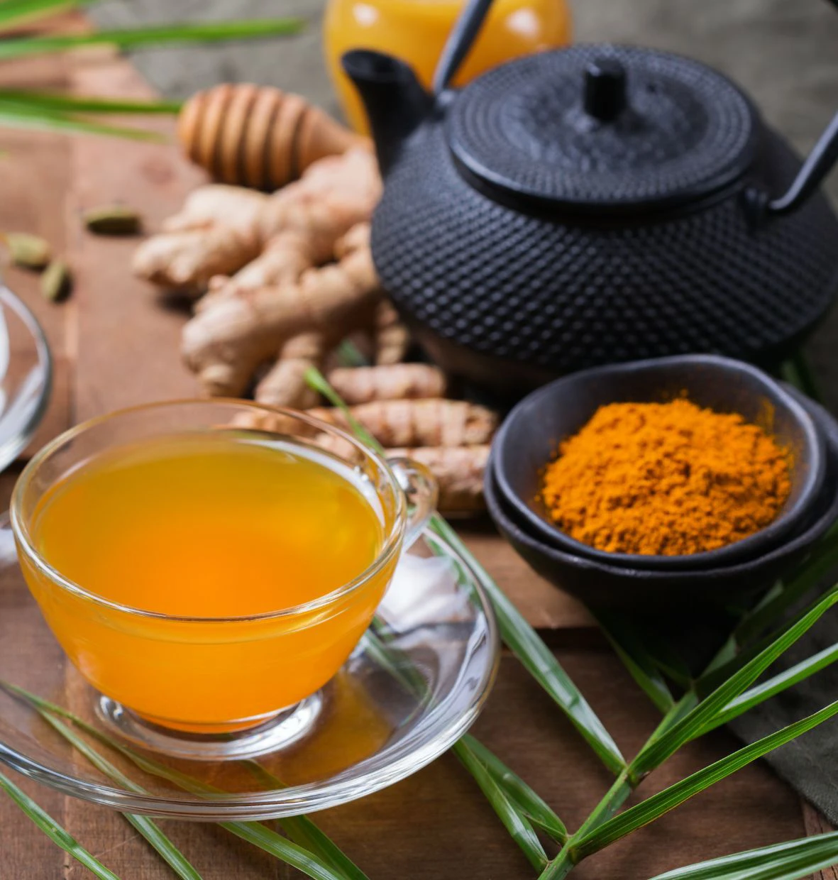 physionutrition Physionutrition